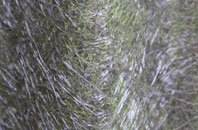 Burnt Ash fibreglass roof work