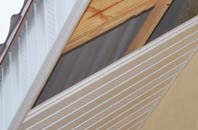 rated Burnt Ash soffit repair companies
